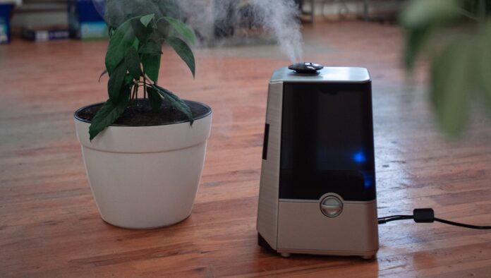 What Happens If You Never Change the Filter of Your Air Purifier